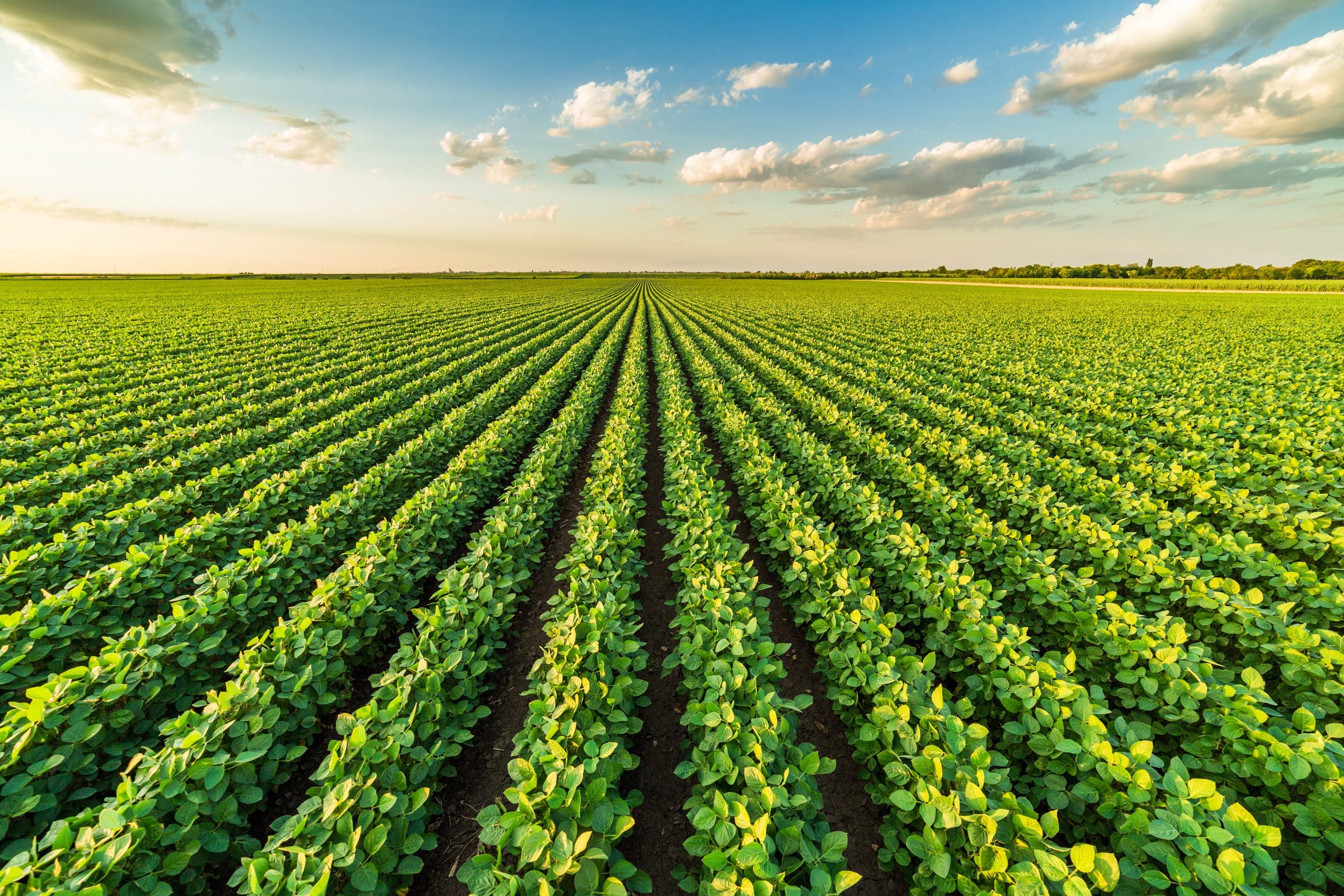 TFI Statement on Fertilizer Tariff Exemption