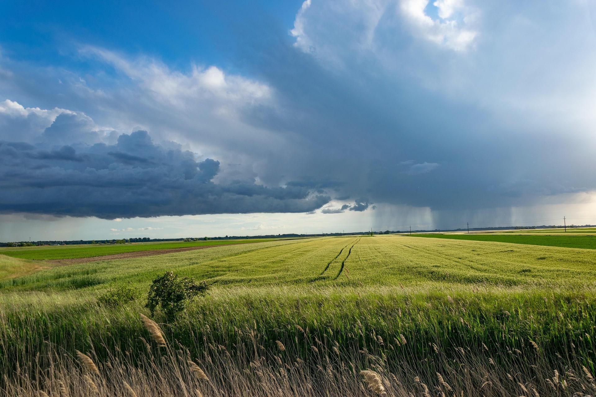 Fertilizer Industry Calls for Practical Policy Solutions to Support Farmers and Strengthen Supply